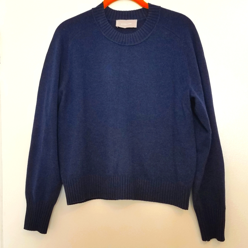 Everlane lightweight cashmere wool crewneck sweater